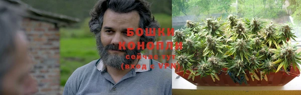 apvp Аркадак