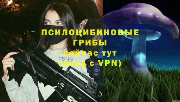 apvp Аркадак