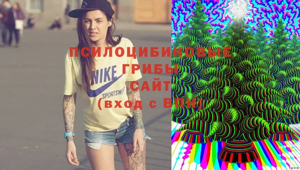 spice Арсеньев