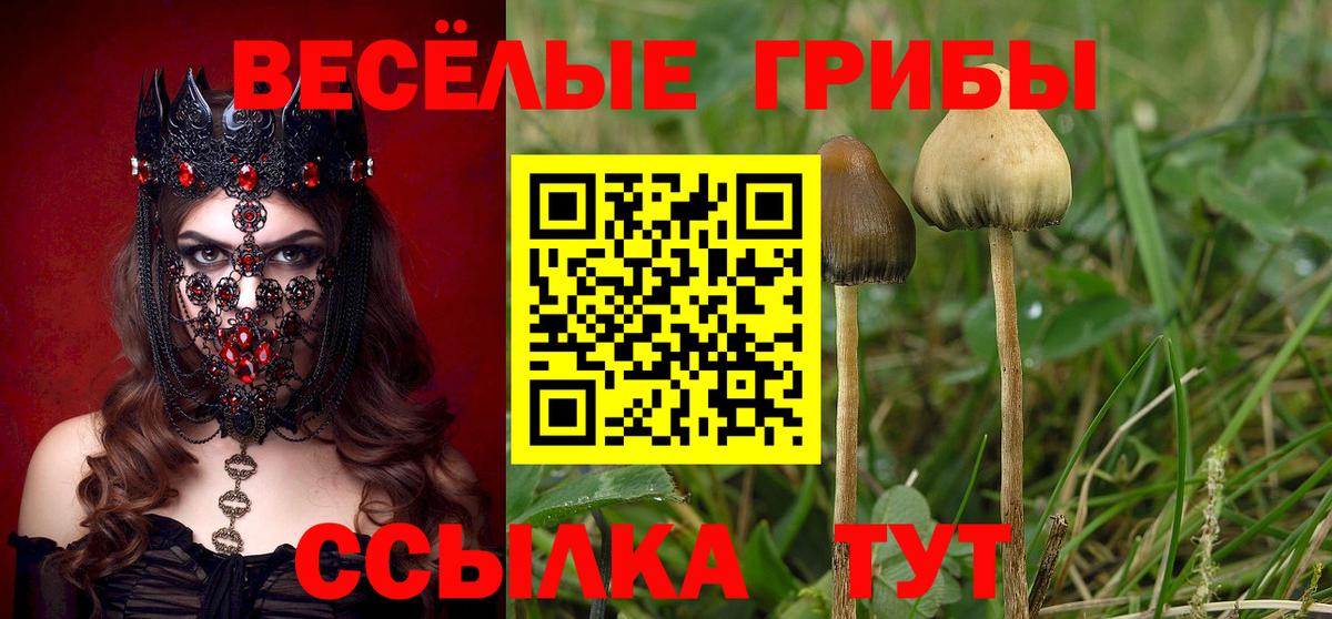 Всеволожск  Псилоцибиновые грибы ЛСД  Вход с VPN 