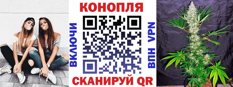 Канабис OG Kush  МЕГА ссылка  Всеволожск 